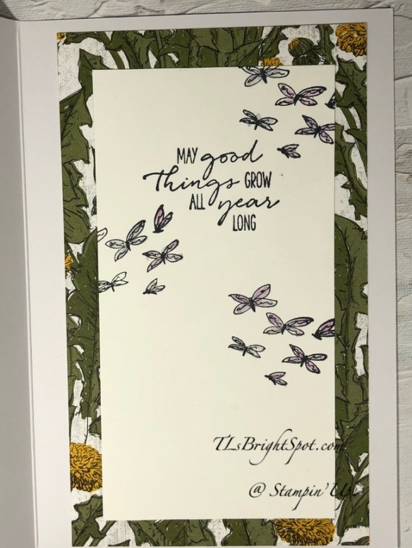Stampin’ Up! Dragonfly Garden & Dandy Wishes Memories & More ...