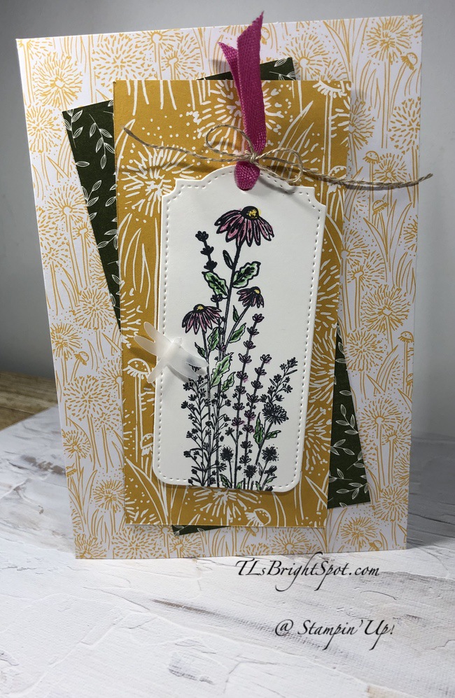 Stampin’ Up! Dragonfly Garden & Dandy Wishes Memories & More ...