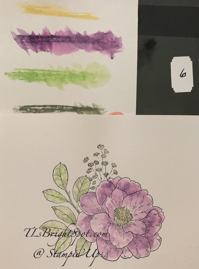 Stampin' Up! Pastel Watercoloring with pastel chalks