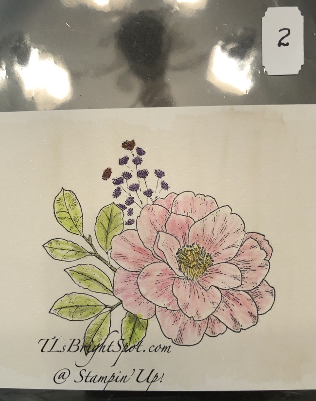 Stampin' Up! Cottage Rose Watercoloring w/ watercolor pencils