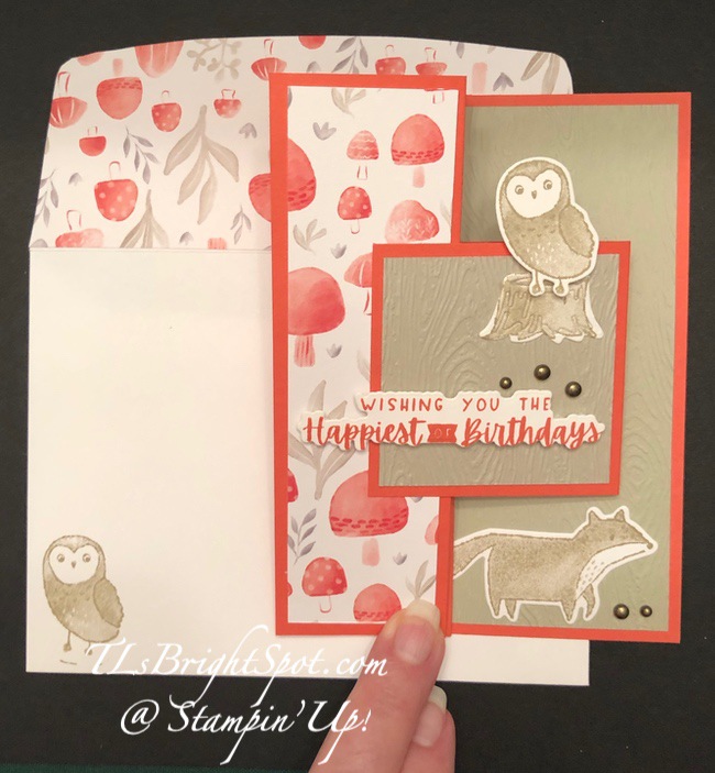 Stampin' Up! happier Than Happy Fun Fold.3
