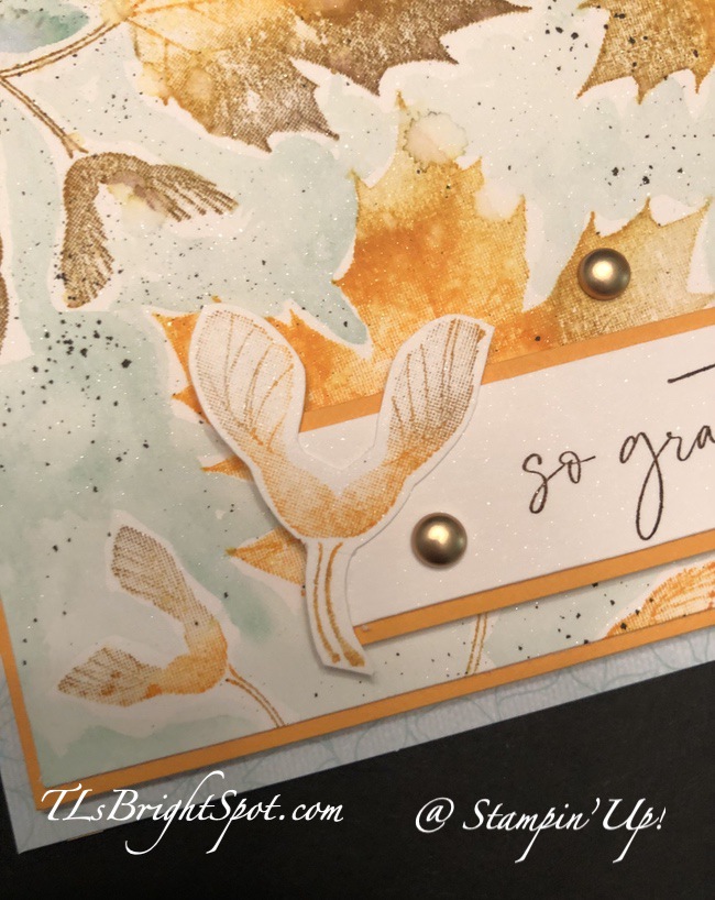 Stampin' Up! Soft Seedlings 'whirly gigs'