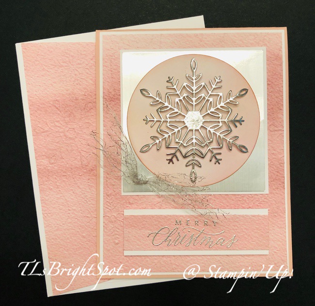 Stampin' Up! C'mas w/ Awash in Beauty DSP & Wonderful Snowflakes