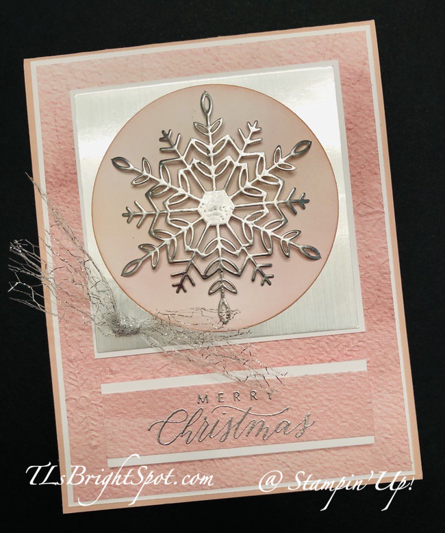 Stampin' Up! C'mas w/ Awash in Beauty DSP & Wonderful Snowflakes.1
