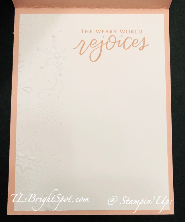 Stampin' Up! C'mas w/ Awash in Beauty DSP & Wonderful Snowflakes. inside.2