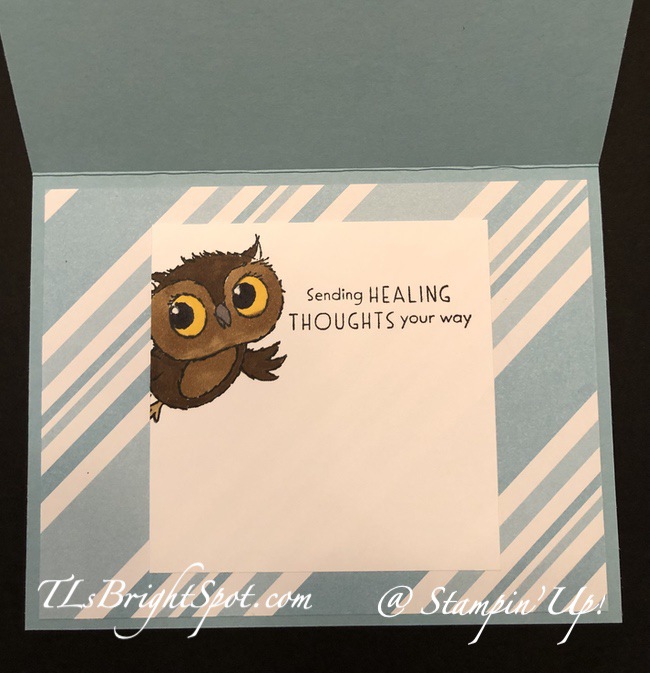 Stampin' Up! Adorable Owls Fun Fold.2
