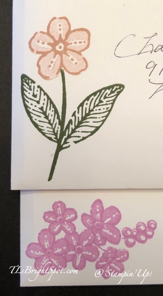 Stampin' Up! Dainty Flowers Cards.3