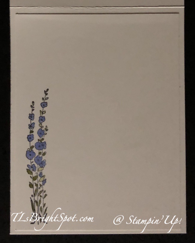 Stampin' Up! Scenic Garden, inside