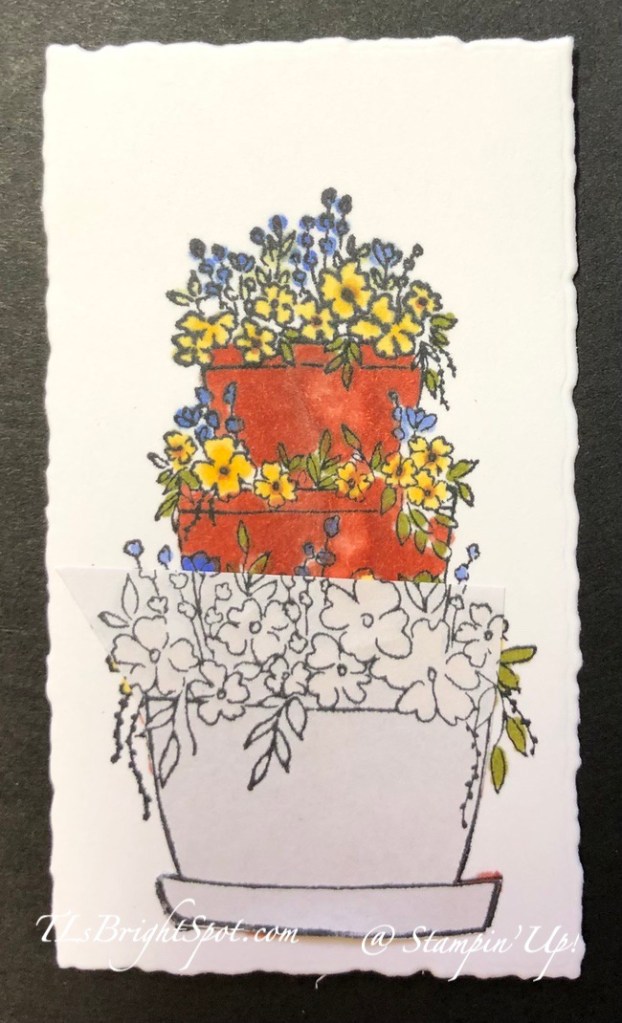 Stampin' Up! Scenic Garden with mask