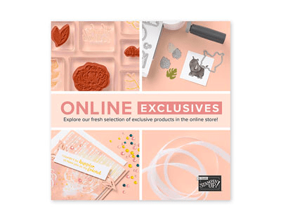 Stampin' Up! ONLINE EXCLUSIVES