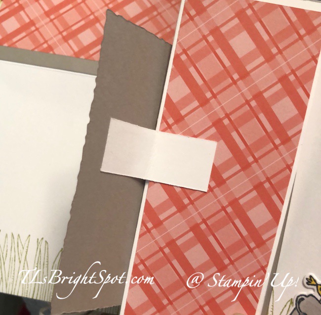 Stampin' Up! Rhino Ready Floating Panel Fun Fold. floating mechanism.2