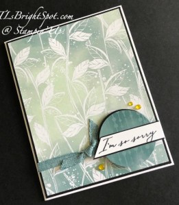 Stampin' Up! Lasting Joy w/ Hello, Irrisistible DSP