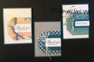Stampin' Up! 1 layout, 3 cards
