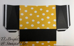 Stampin' Up! Delightfully Eclectic Card Gift bag.2