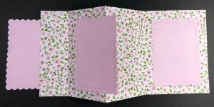 Stampin' Up! Color & Contour fun fold