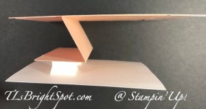 Stampin' Up! Springb oard fun fold from the top