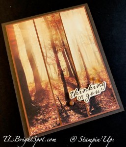 Stampin' Up! All About Autumn SDSP Thinking of you