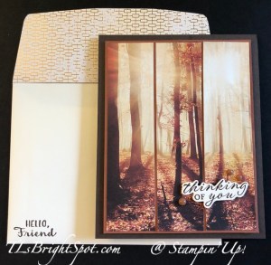 Stampin' Up! All About Autumn SDSP card & envelope