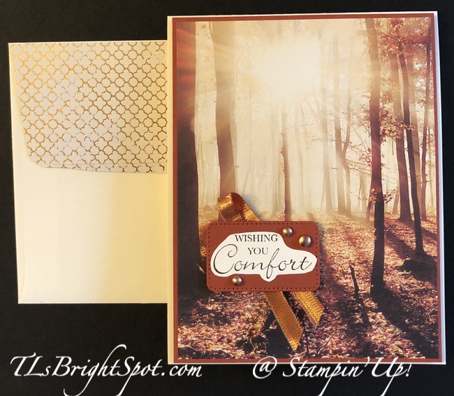 Stampin' Up! All about Autumn Card & envelope