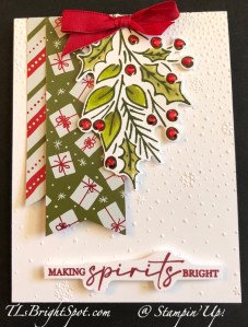 Stampin' Up! Shining C'mas SDSP + Joy Of Noel