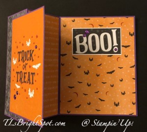 Stampin' Up! Them Bones DSP Fun Fold, inside