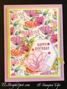 Stampin' Up! Translucent Florals & Delightfully Floral DSP