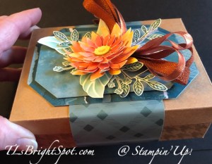 Stampin' Up! Kraft Noe Cards w/ Abundant Beauty Masks side view with Belly Band