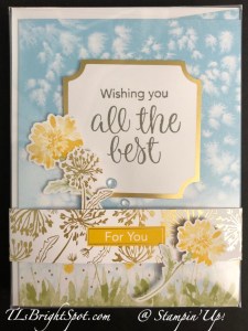 Stampin' Up! December PP boxed set