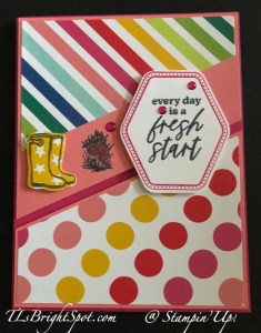Stampin' Up! Garden Meadow bundle with Merry Bold & Bright DSP