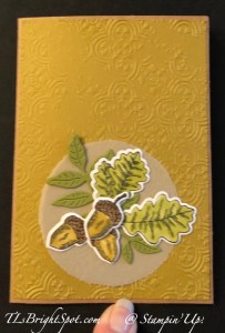 Stampin' Up! Kraft Note Card Pop-Up Shadow Box, front