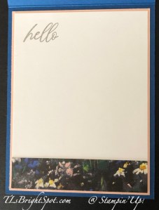 Stampin' Up! Meandering Meadows DSP hello, inside