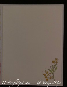 Stampin' Up! Gold Foiled Flowers & Envelopes, inside w/ panel