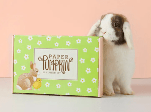 Stampin' Up! Paper Pumpkin