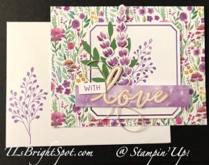 Stampin' Up! Januaary Paper Pumpkin, card 2