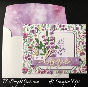 Stampin' Up! January Paper Pumpkin Card 2 w/ envelope