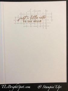 Stampin' Up! Monochromatic Nature's Sweetness Suite card inside