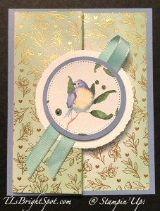 Stampin' Up! 2, 4, 6, 8 card w/ Most Adored SDSP