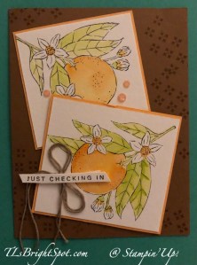 Stampin' Up! Citrus Blooms