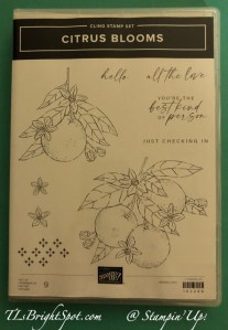 Stampin' Up! Citrus Blooms stam set