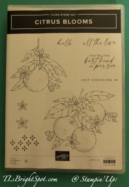  Foto zu Stampin’ Up! New 2024-2025 Annual Catalog Goodies 