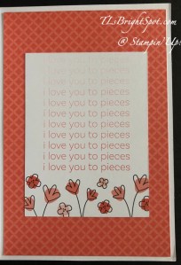 Stampin' Up! Stampin' Up! Sweet Thoughts Memories & More Card Pack + Cards & Envelopes.card 1 inside