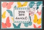 Stampin' Up! Stampin' Up! Sweet Thoughts Memories & More Card Pack + Cards & Envelopes.card 2 