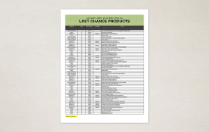 Stampin' Up! Jan-Apr 2024 Mini Catalog Last Chance list