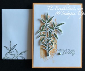 Stampin' Up! Thoughtful Wishes card & envelope