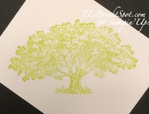 Stampin' Up! Loveliest Trees in Granny Apple Green ink