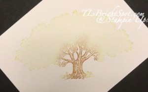 Stampin' Up! Loveliest Trees, Granny Apple Green stamped off w/ Pecan Pie  sponged on