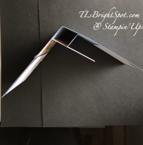 Stampin' Up! Thoughtful Journey Center Pleat Fun Fold, looking down from the top