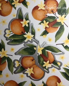 Stampin' Up! Citrus Blooms Dies on Mediterranean Blooms DSP