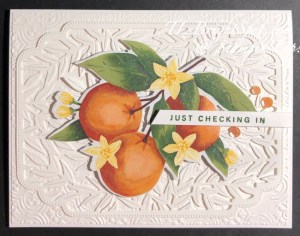 Stampin' Up! Citrus Blooms Bundle card front