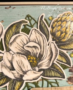 Stampin' Up! Magnolia Mood image w/ Wink of Stella